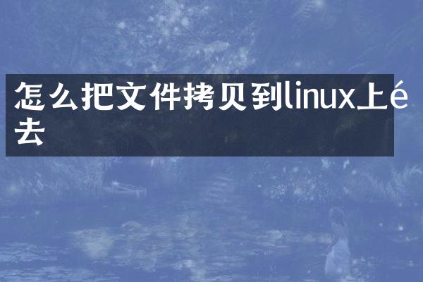 怎么把文件拷贝到linux上面去