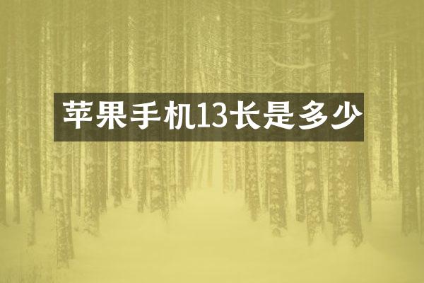 苹果手机13长是多少