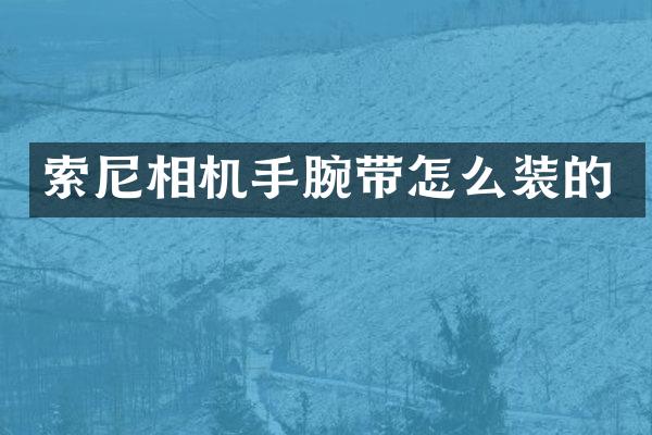 相机手腕带怎么装的