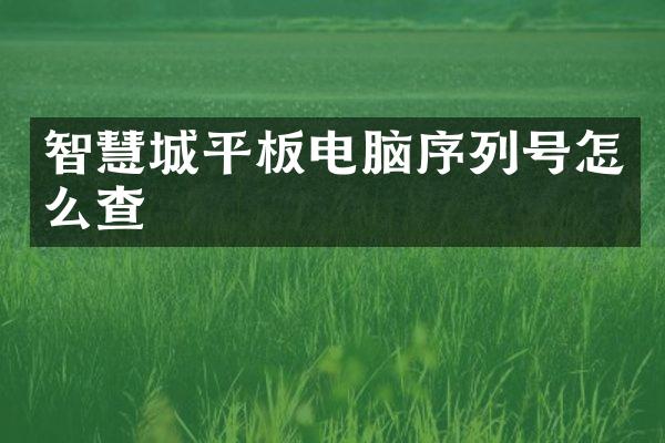 智慧城平板电脑序列号怎么查