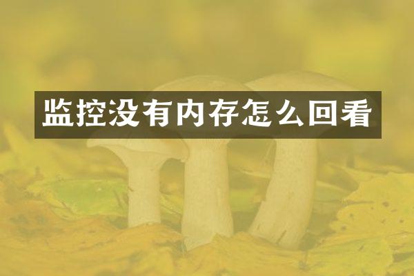 监控没有内存怎么回看