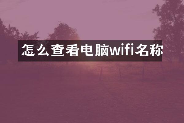 怎么查看电脑wifi名称
