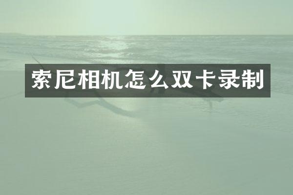 相机怎么双卡录制