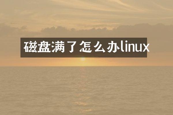 磁盘满了怎么办linux