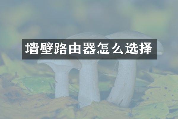 墙壁路由器怎么选择