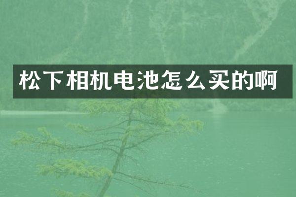 相机电池怎么买的啊
