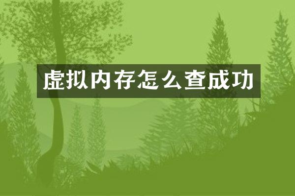 虚拟内存怎么查成功