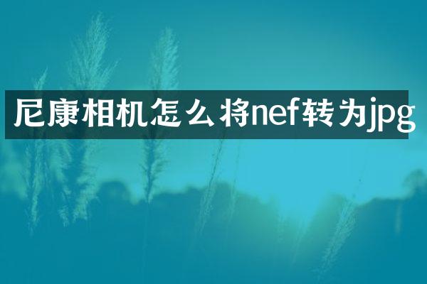尼康相机怎么将nef转为jpg