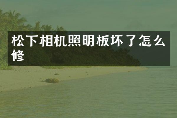 相机照明板坏了怎么修