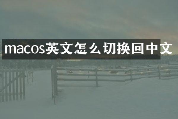 macos英文怎么切换回中文