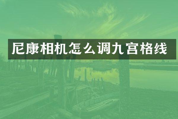 尼康相机怎么调九宫格线