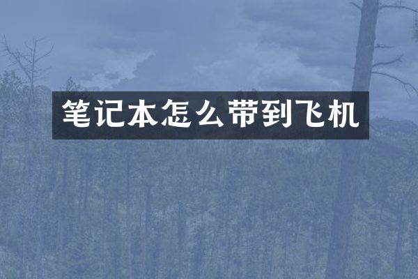 笔记本怎么带到飞机