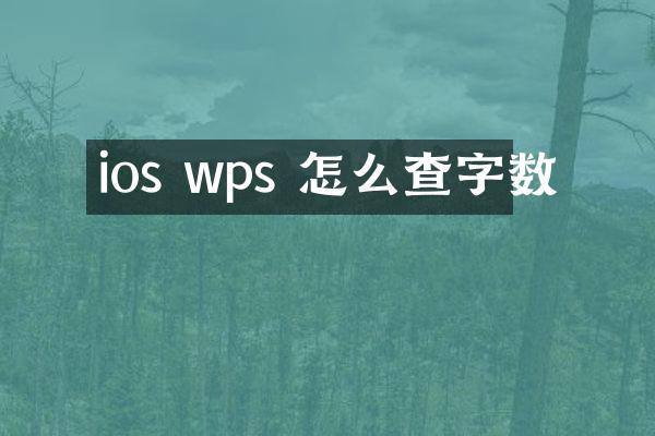 ios wps 怎么查字数