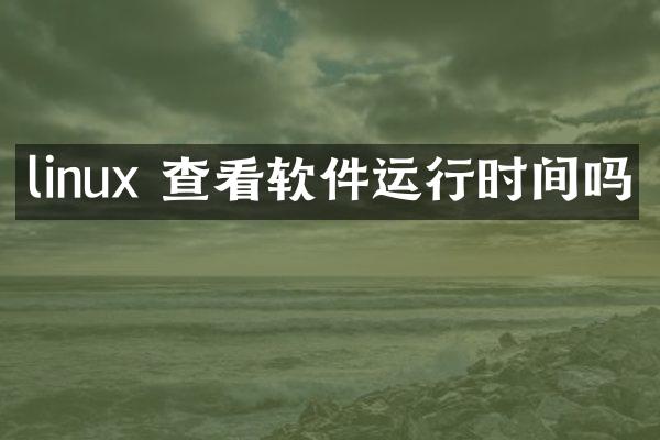 linux 查看软件运行时间吗