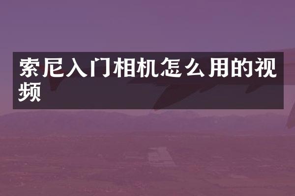 入门相机怎么用的视频