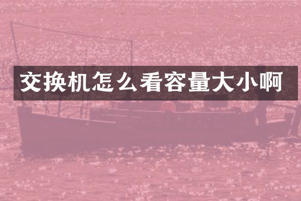 交换机怎么看容量大小啊