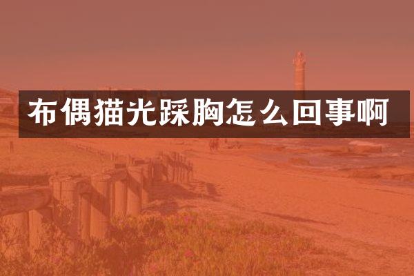 布偶猫光踩胸怎么回事啊