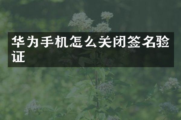 华为手机怎么关闭签名验证