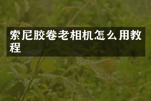 胶卷老相机怎么用教程