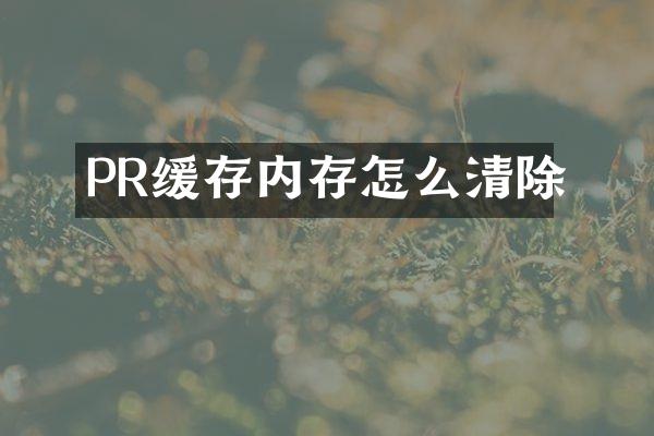 PR缓存内存怎么清除