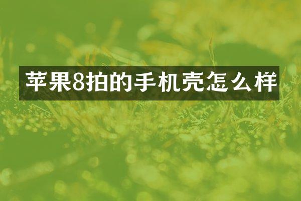 苹果8拍的手机壳怎么样