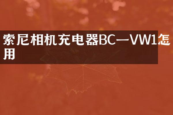 相机充电器BC一VW1怎么用