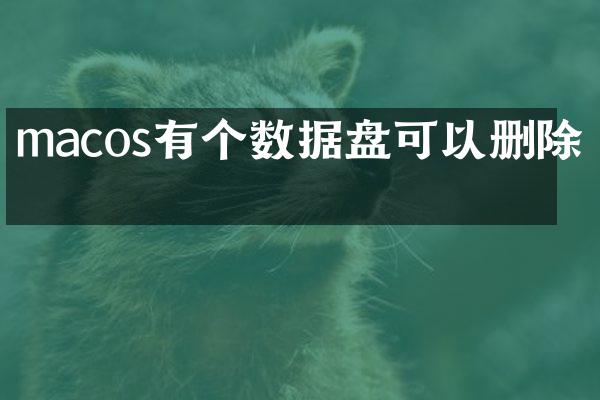 macos有个数据盘可以删除吗