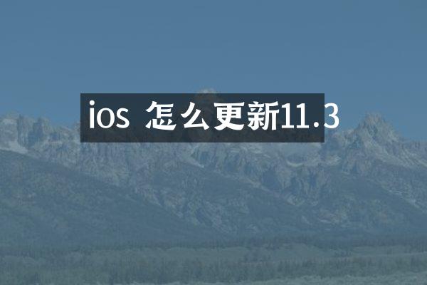 ios 怎么更新11.3