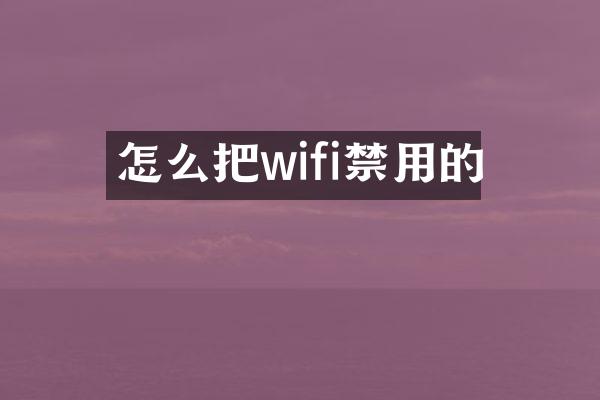 怎么把wifi禁用的