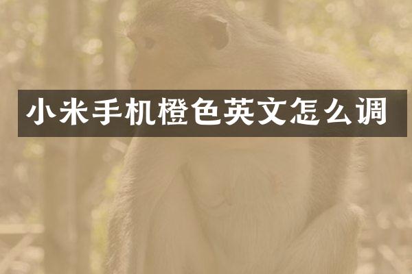 小米手机橙色英文怎么调