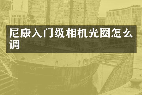 尼康入门级相机光圈怎么调