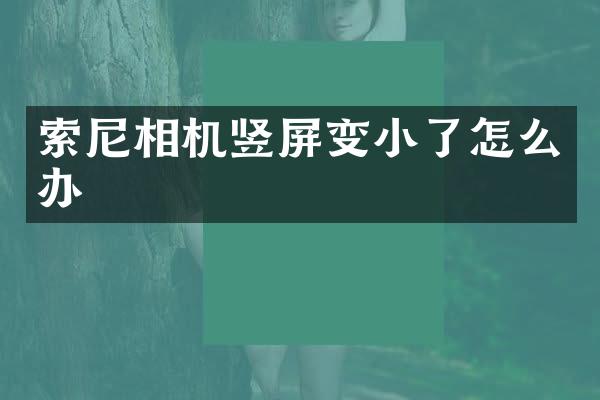 相机竖屏变小了怎么办