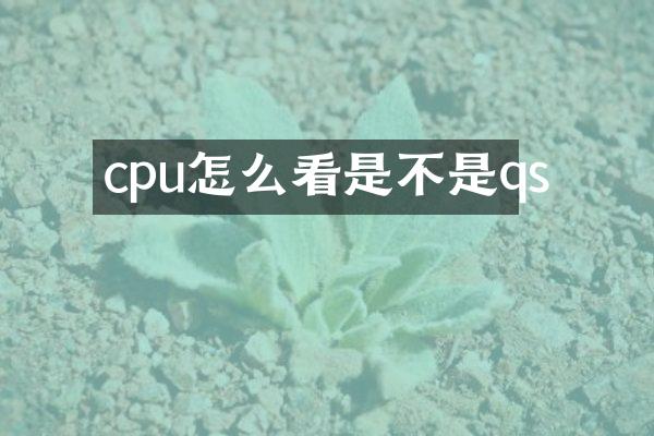 cpu怎么看是不是qs