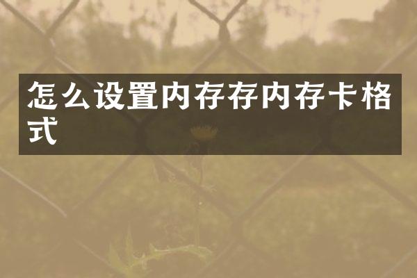 怎么设置内存存内存卡格式