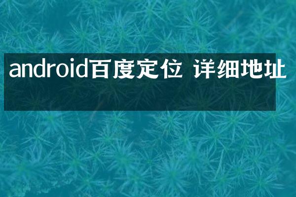 android百度定位 详细地址吗