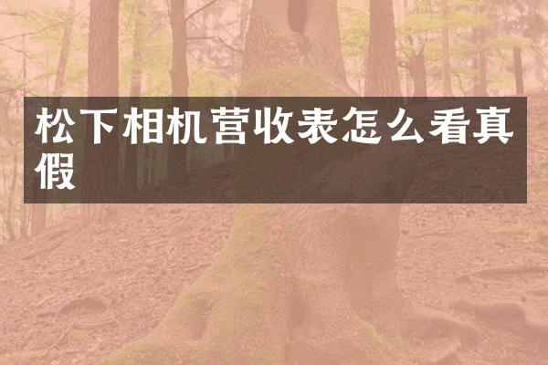 相机营收表怎么看真假