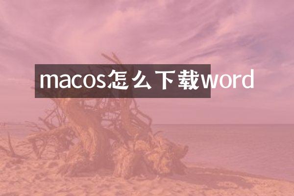 macos怎么下载word