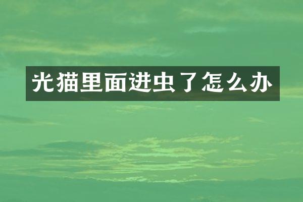 光猫里面进虫了怎么办