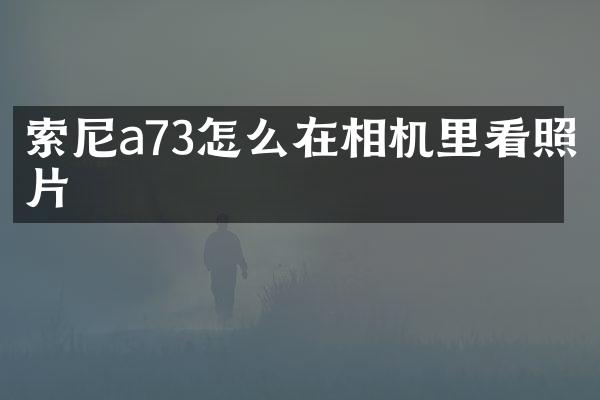 a73怎么在相机里看照片