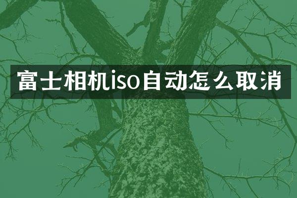 富士相机iso自动怎么取消