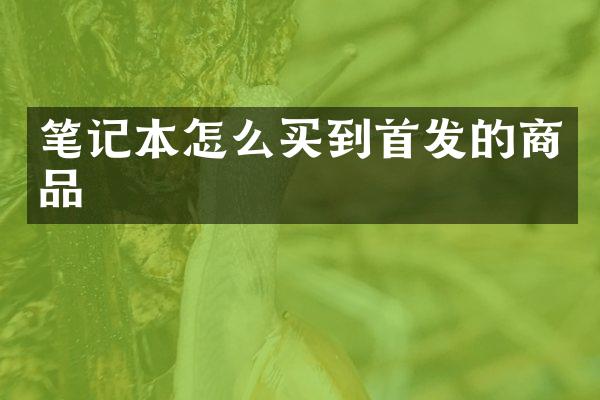 笔记本怎么买到首发的商品