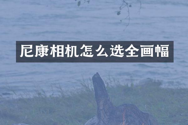 尼康相机怎么选全画幅