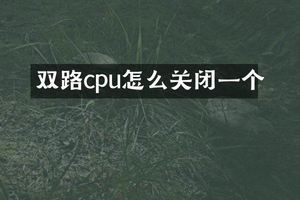 双路cpu怎么关闭一个