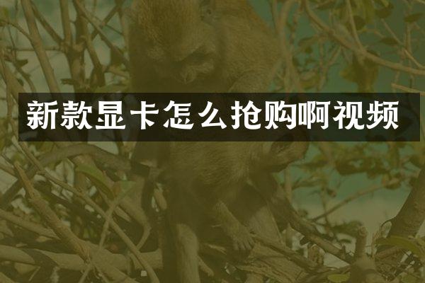 新款显卡怎么抢购啊视频