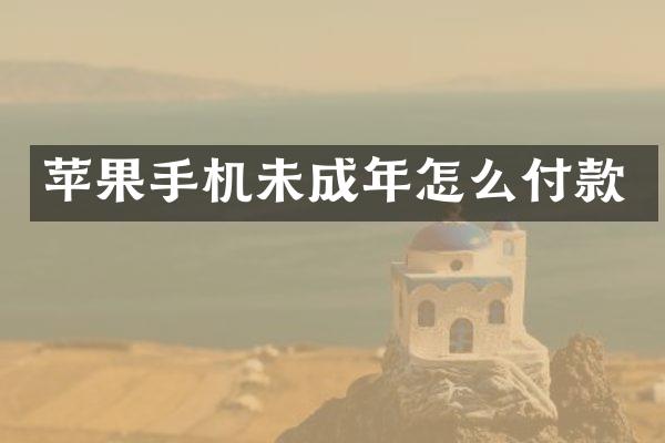 苹果手机未成年怎么付款