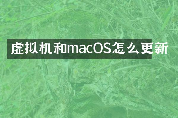 虚拟机和macOS怎么更新