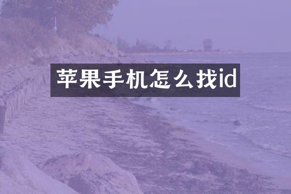 苹果手机怎么找id