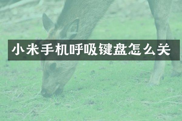 小米手机呼吸键盘怎么关