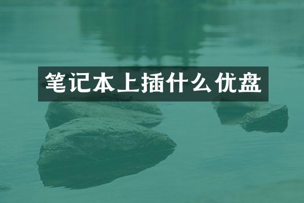 笔记本上插什么优盘