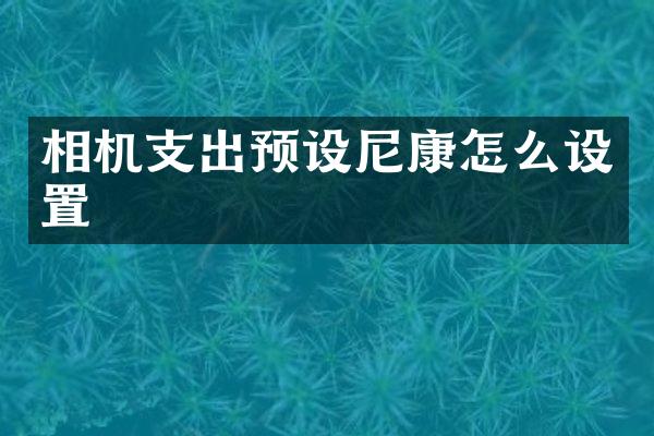 相机支出预设尼康怎么设置